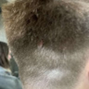 Meet your Posher, Greta